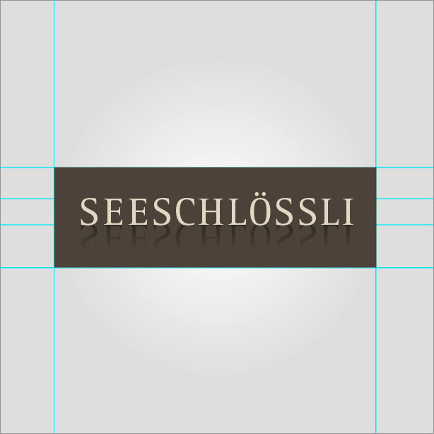 Christoph Schoop Gruppe > Kampagne Seeschlössli_3