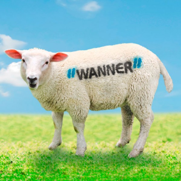 Hächler-Gruppe > Kampagne Wanner AG