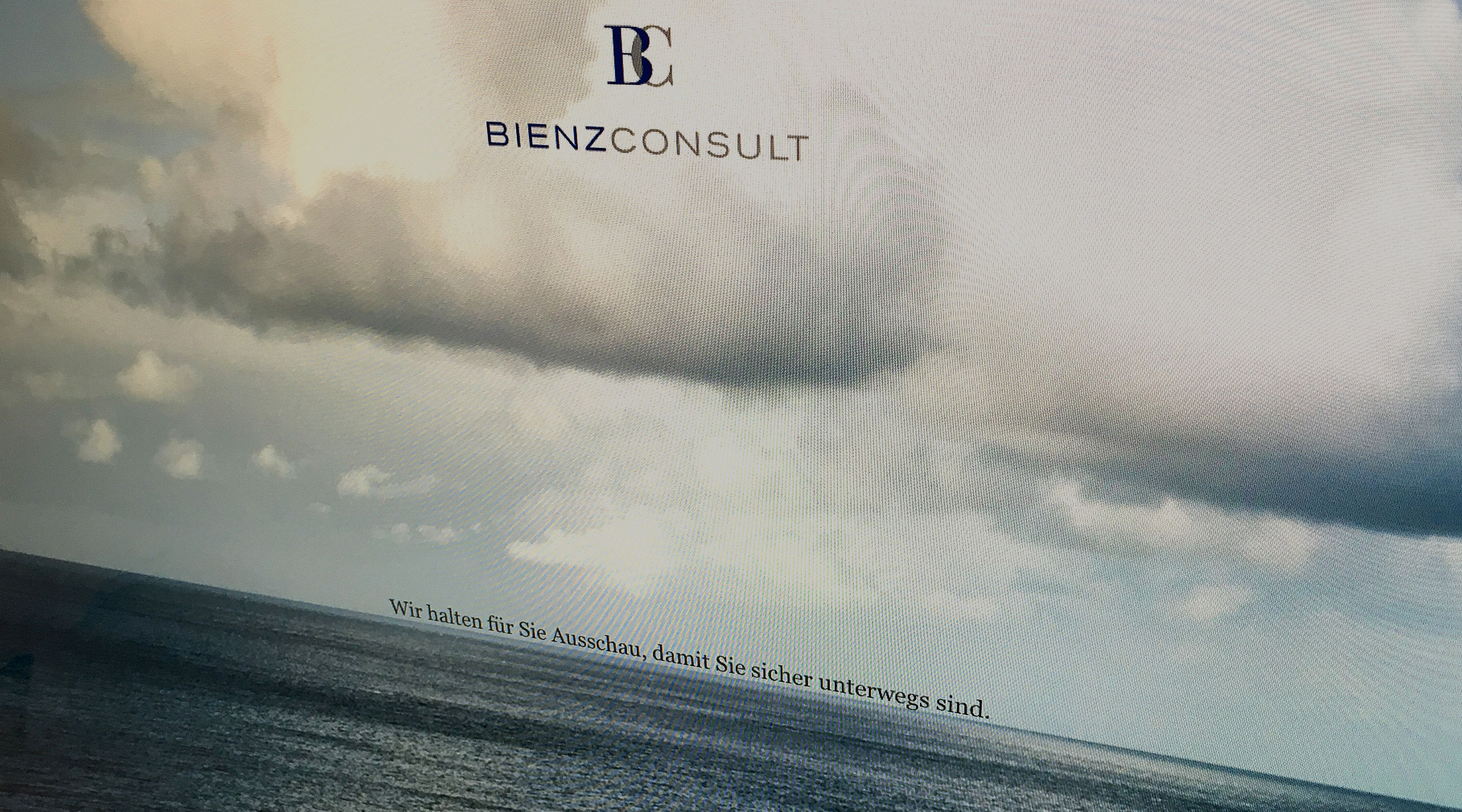 BIENZCONSULT > Website